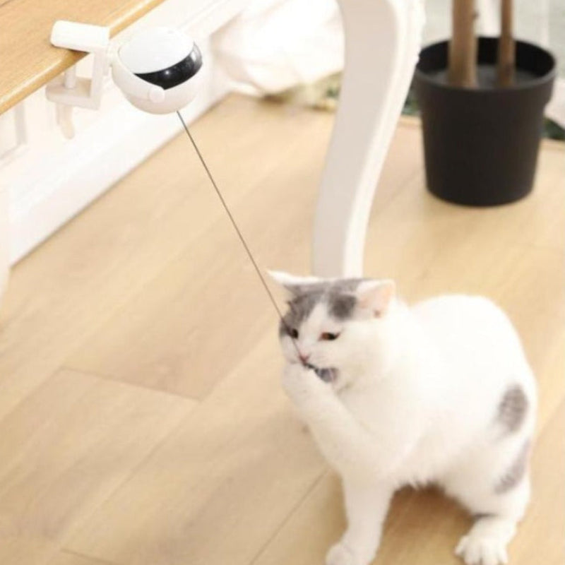 Cat Teaser Toy Electronic Lifting Ball Motion Activated Interactive Cat Toys